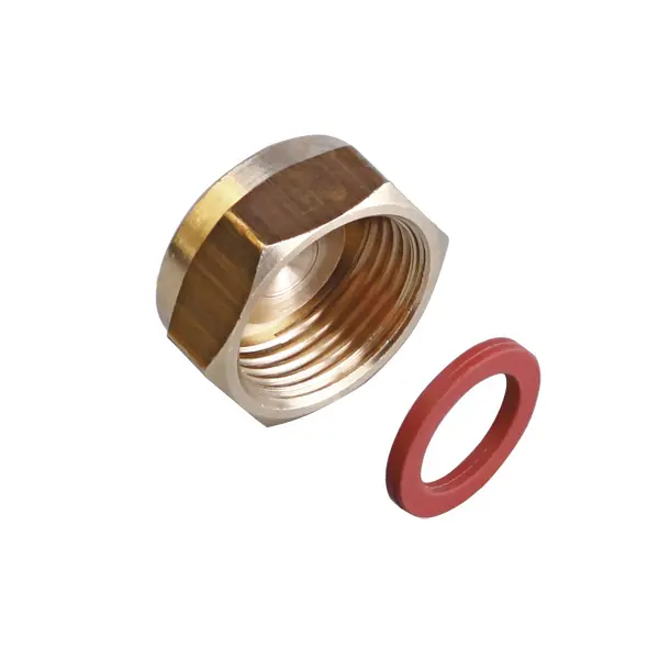 Ecrou bouchon 20 x 150 + joint GURTNER - 19153.K