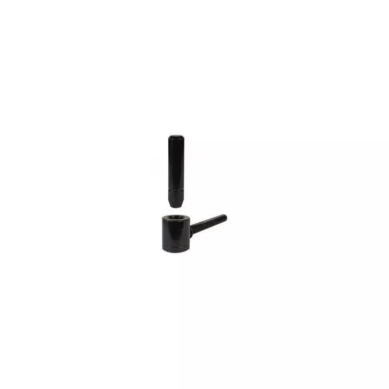 POLYGOND à clips renforcé M12 TORBEL - Noir - Ø16x120mm - 6118B66